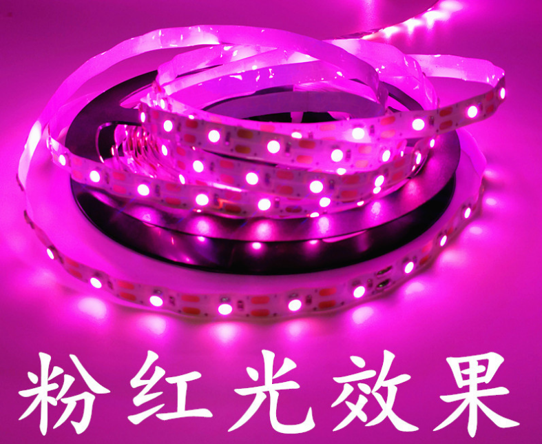 粉红光效果.png